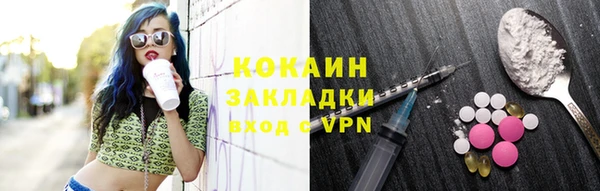 хмурый Арсеньев