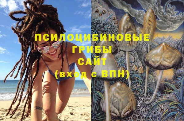 хмурый Арсеньев