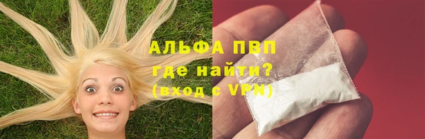 прущие грибы Армянск