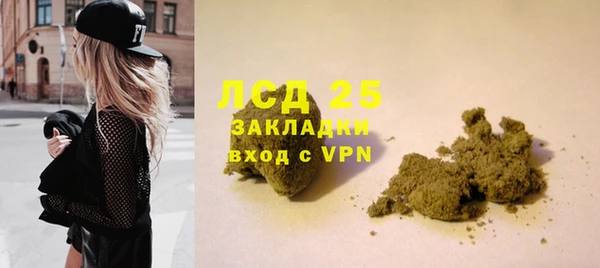 хмурый Арсеньев