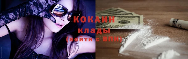 гидра Аркадак