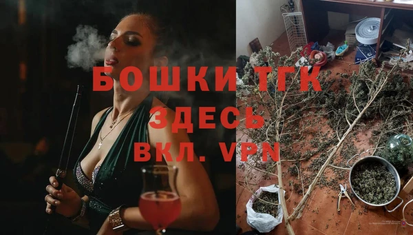 гидра Аркадак