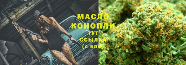 хмурый Арсеньев