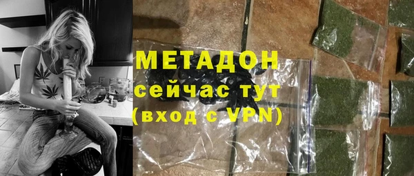 прущие грибы Армянск