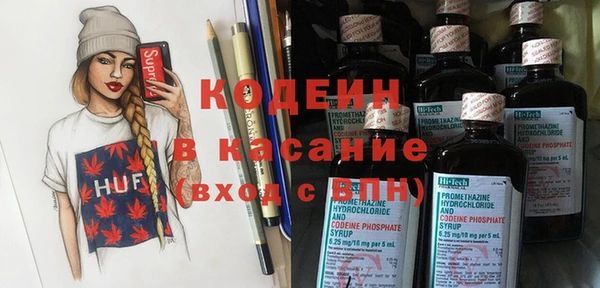 хмурый Арсеньев