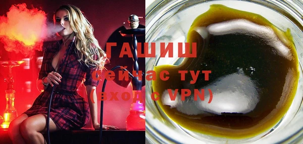 хмурый Арсеньев
