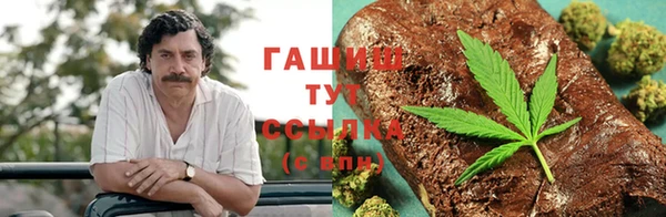 прущие грибы Армянск
